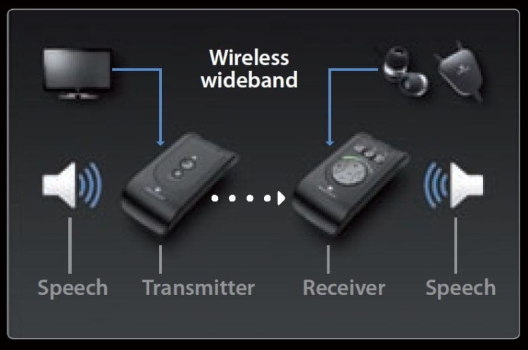 Domino Pro z pętlą indukcyjną i słuchawkami BE 8006