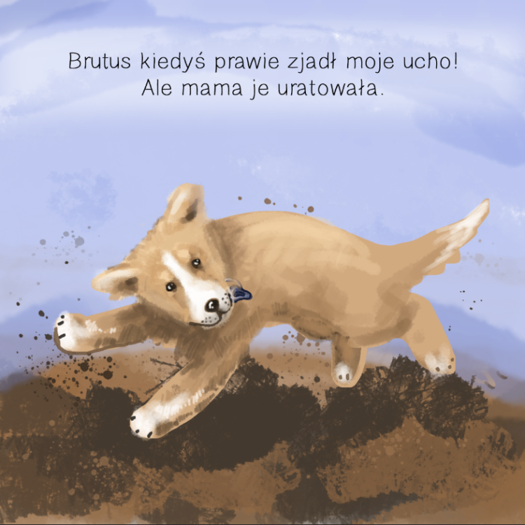 Książeczka dla dzieci  z niedosłuchem `Świat Ślimaczka`